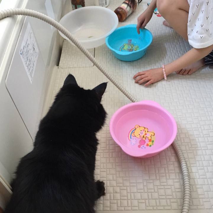 5420e507 74bc 4081 b218 747154eda21c