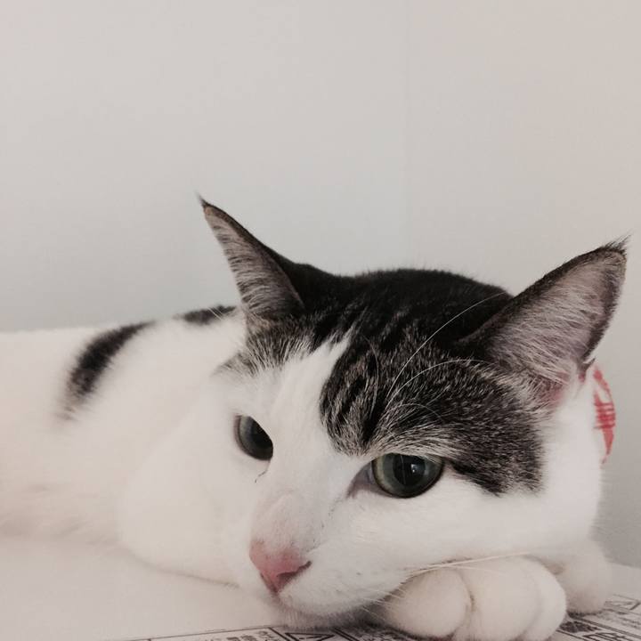 5421570f 8949 4915 817a 525975f60911