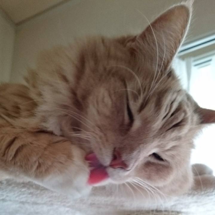 542227ef c3ab 4f14 8234 36865397ce44