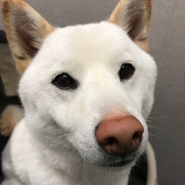 542310a1 c8ad 4c74 9a30 b3a8463caf48