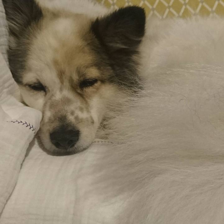 54231ed0 0992 4119 9f98 3c5a69a0050b