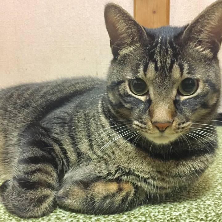 5423dd0b ae72 4fe5 8952 67b2bf53c599