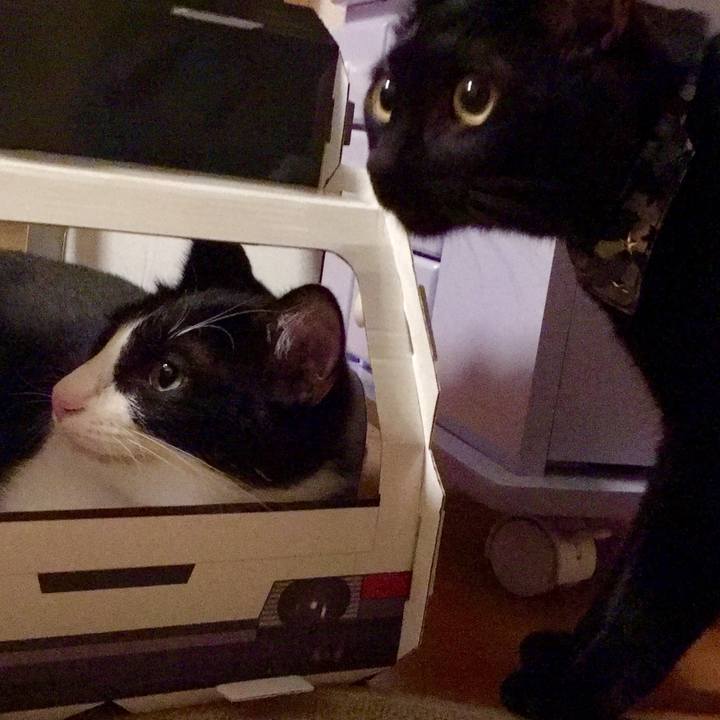 5423f4a7 88ac 4538 8b75 50d192b5d931