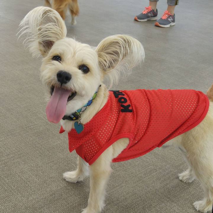 54245def 9e4e 4f93 a546 dd11aa6a833a