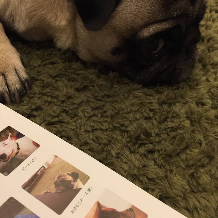 5424606e aee4 466d ae09 cac737c008c3