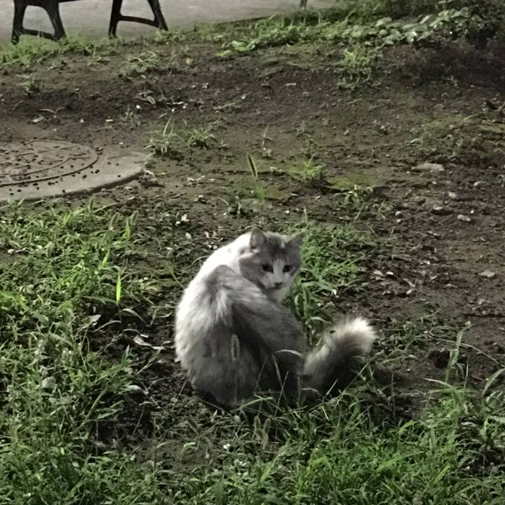 54246d8f 24d3 4c4f 8088 cf471afceddc