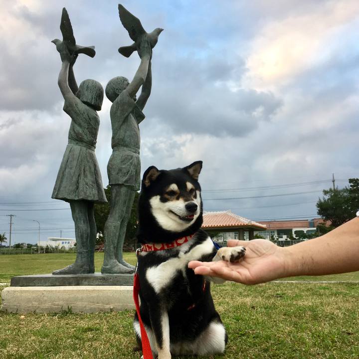 5424b305 d0d0 4486 bfe9 ce58bd84a3c1