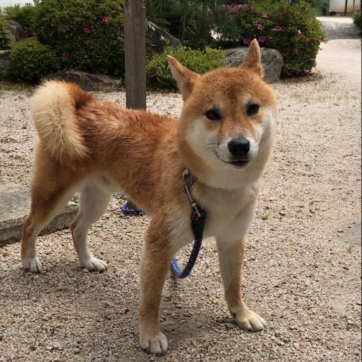 5424d972 f724 4222 96e5 d0d6309a41b9