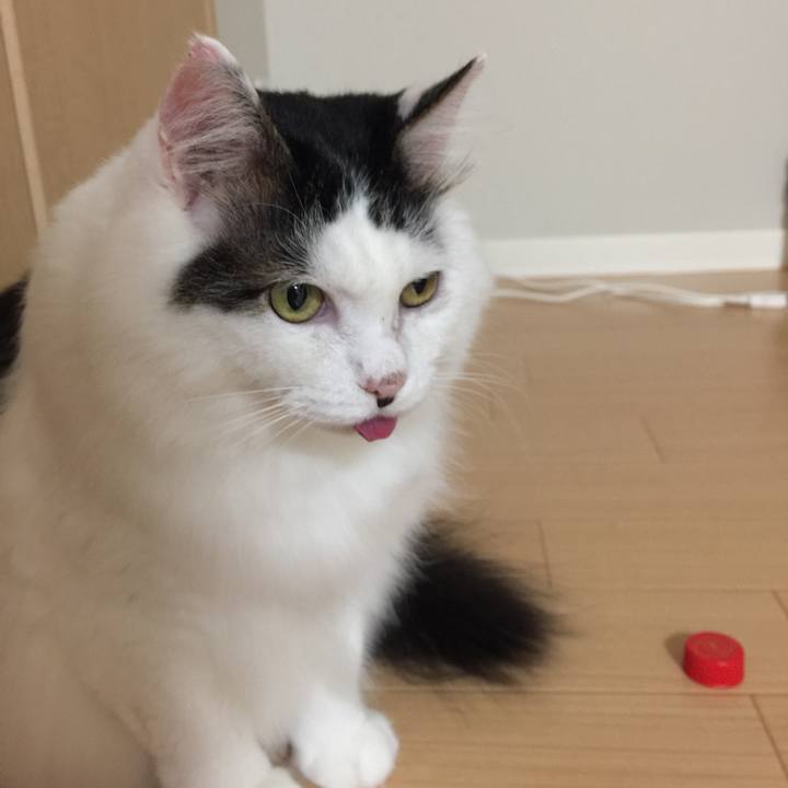 5425a671 1404 45bf a481 dd96140aada1