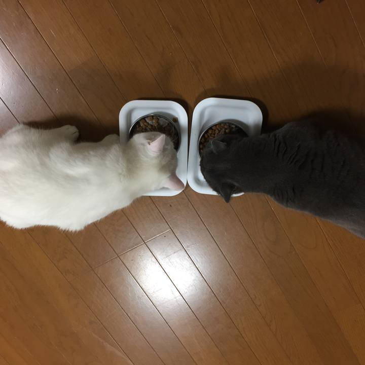 5425f30a 2df9 4cce a560 edbbb453009a