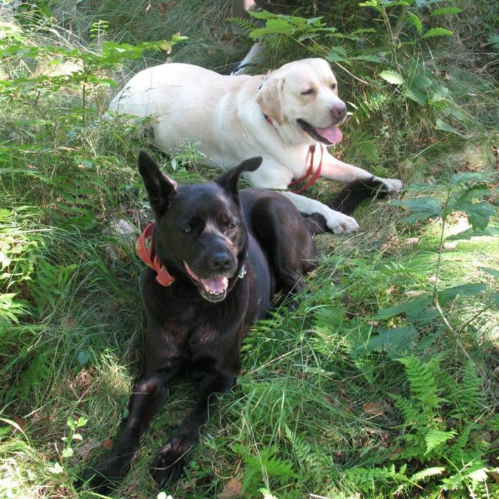 5426dd1a 230f 452d 85ed ec3528ed4ef5