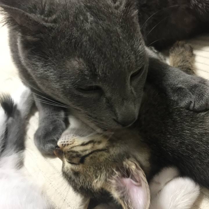 54272328 659b 449f 8e92 97a286f5c334