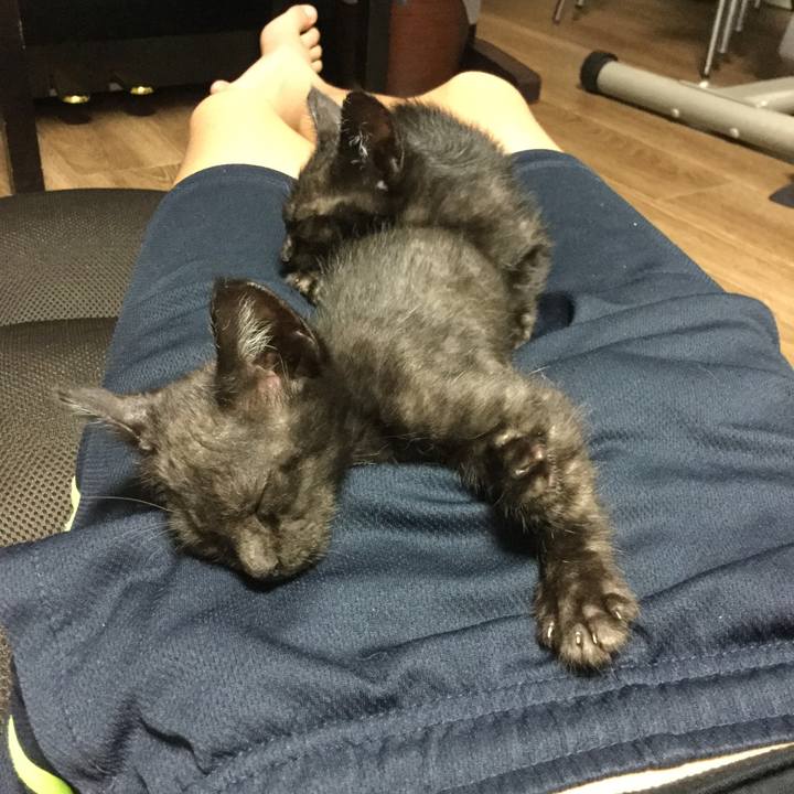 5427a3a3 d338 4475 9c35 9456ff4a8925