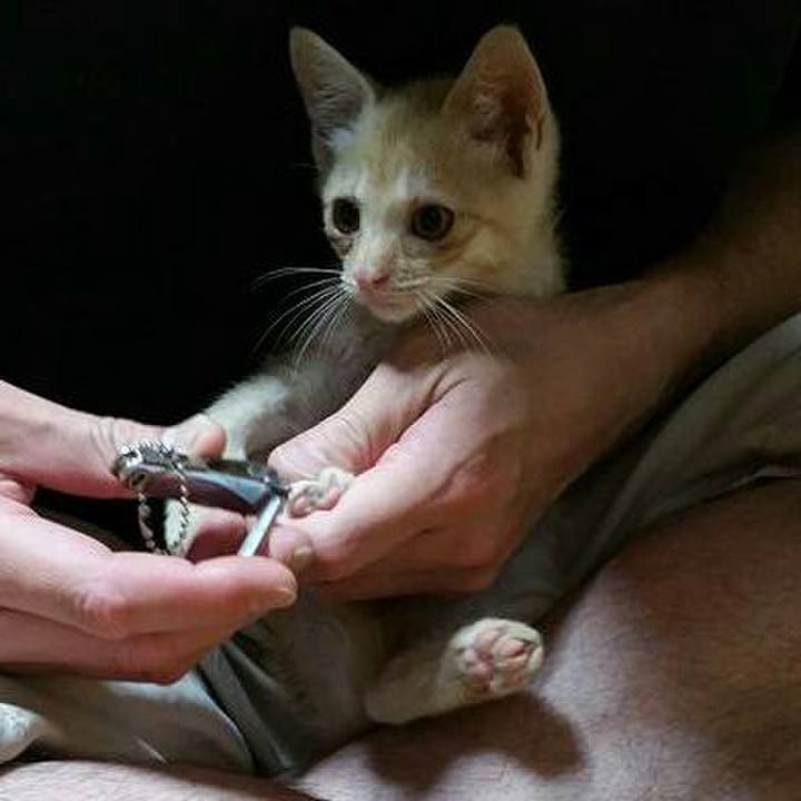 5427c419 e2af 4018 a235 015b68995040