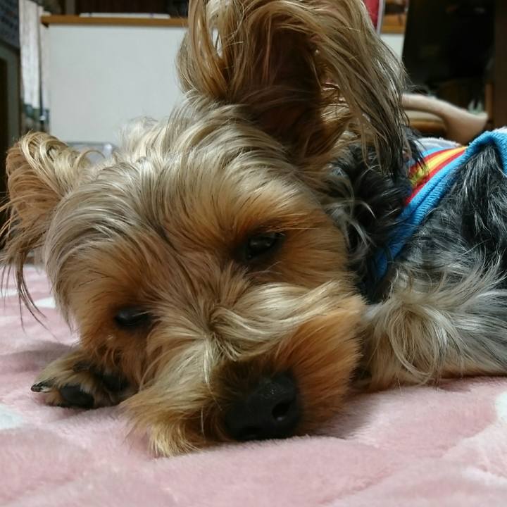 5428137b c2da 4a24 a442 591da101b62d