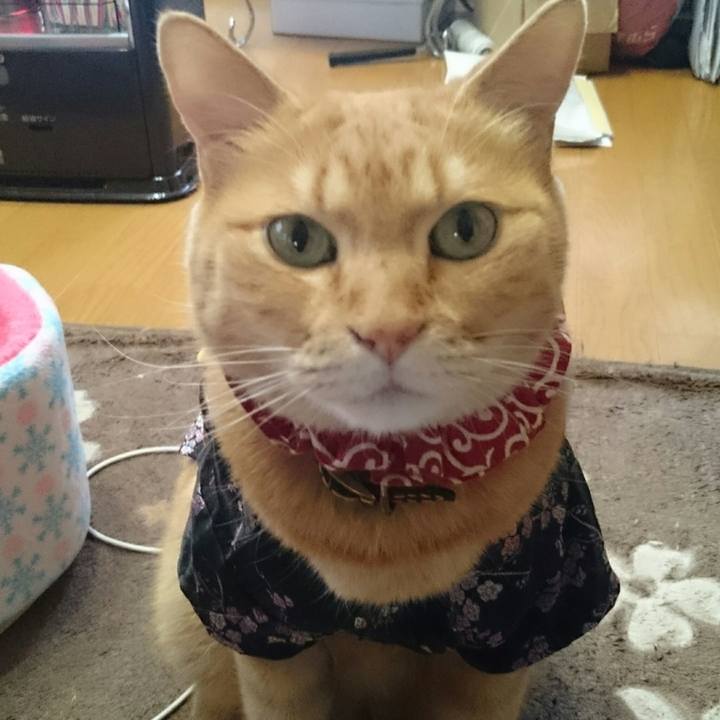 54283a29 a56d 499c ae91 e101494d5fec