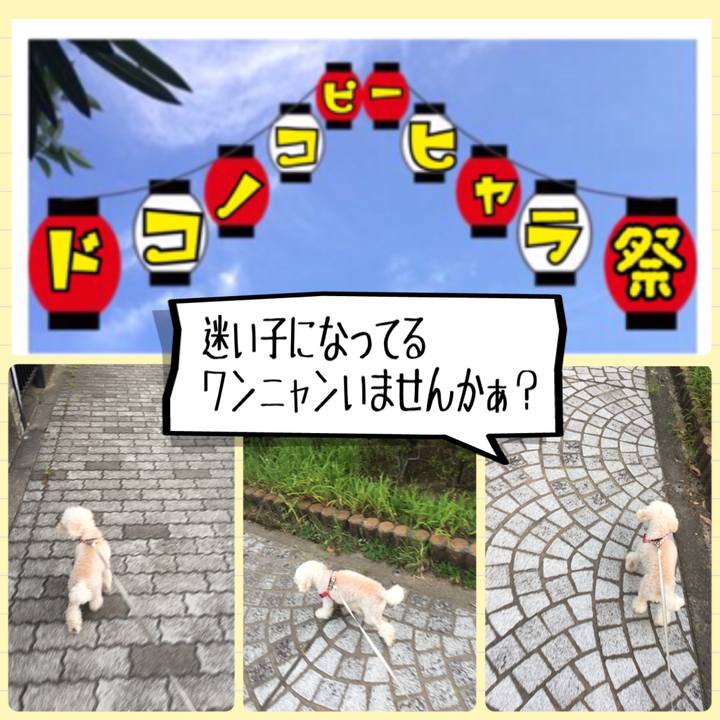 5428a36b ba0b 41c6 9eb6 65264038382c