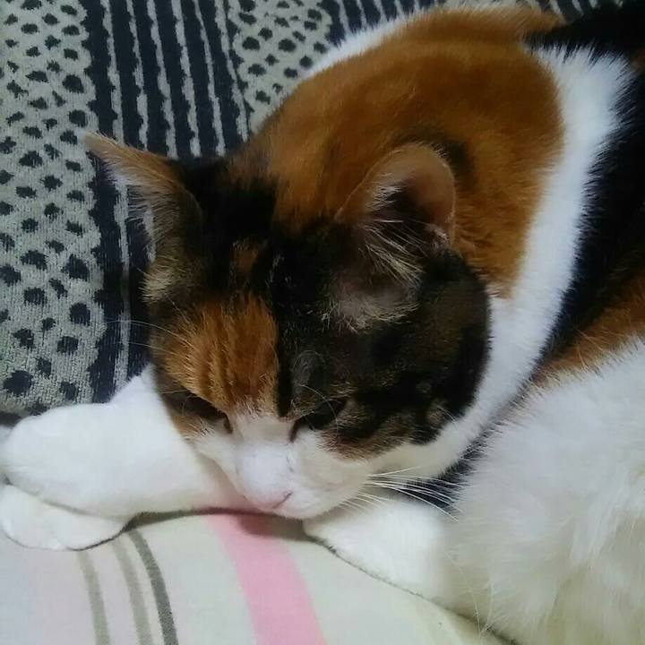 5428d7fd 3e34 4cbe 9de6 a2e6b6a89547