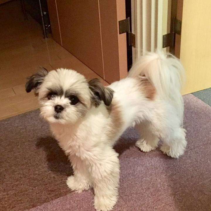 5429aa12 d9d4 4f65 a2ba 1cdfe85e3d11