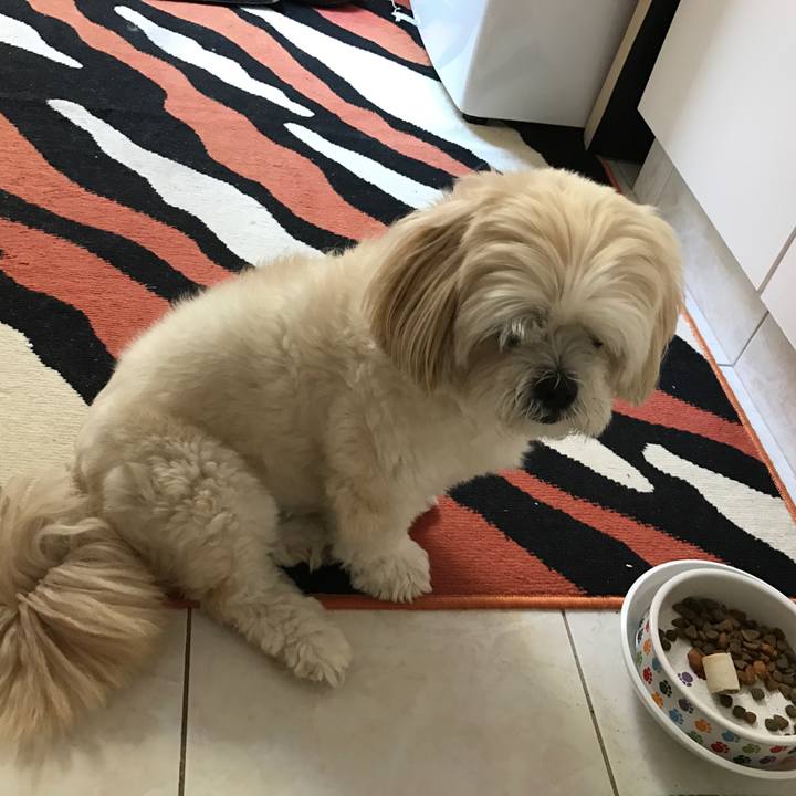 542b0e05 3714 464f 88c8 005953857a65