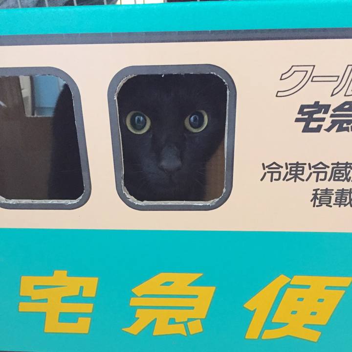 542c1376 2de7 4544 b9ee 5325415282a6