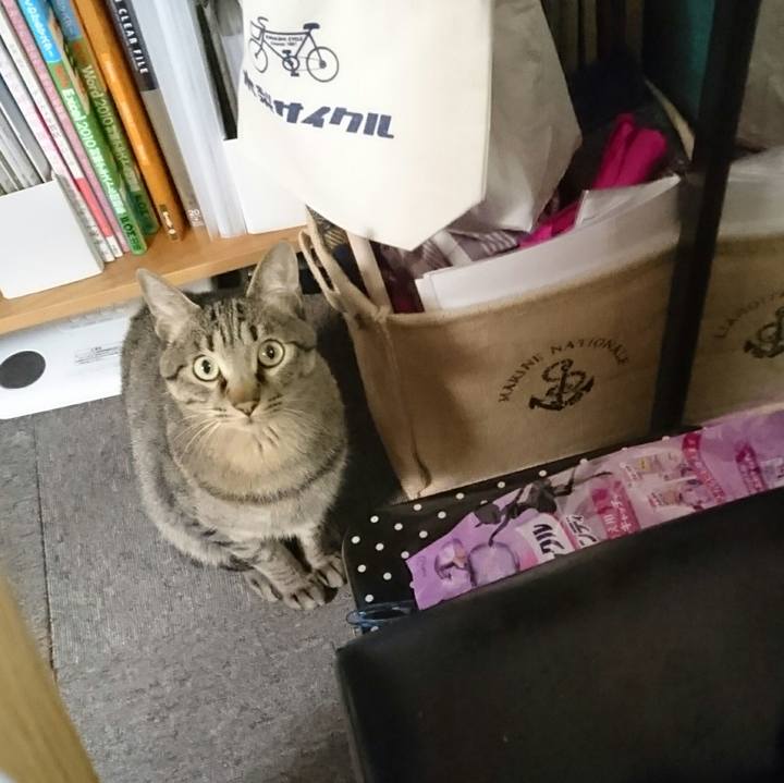 542e7412 ed9b 4836 b4aa 11d4d81b844d