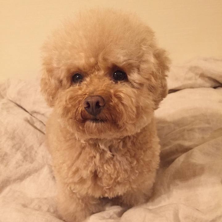 542e758b ecd3 4f52 ab0c fcd8f1bf2360