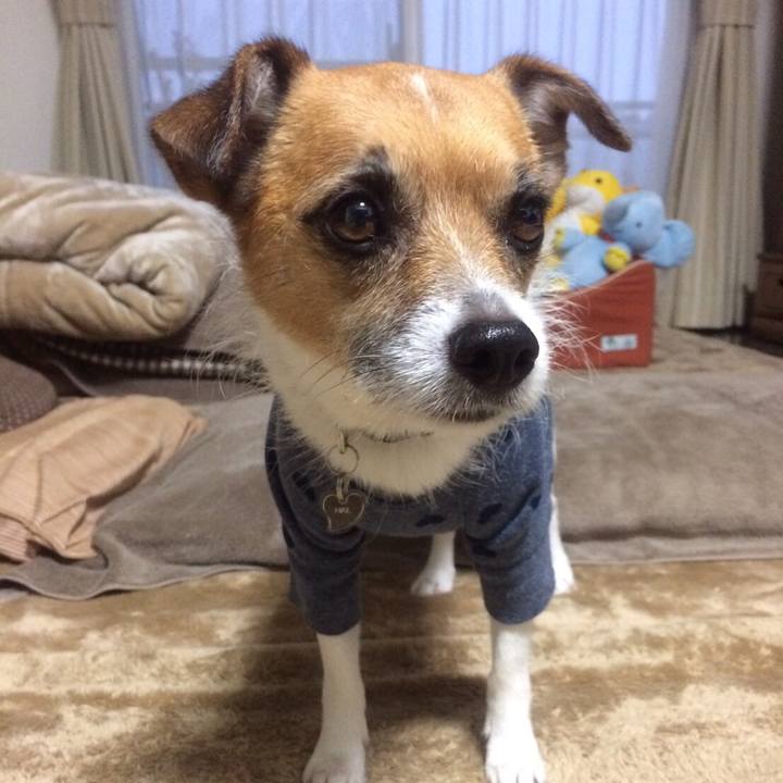 542f1c4c 3319 40bd bbb4 fff04ee61dca