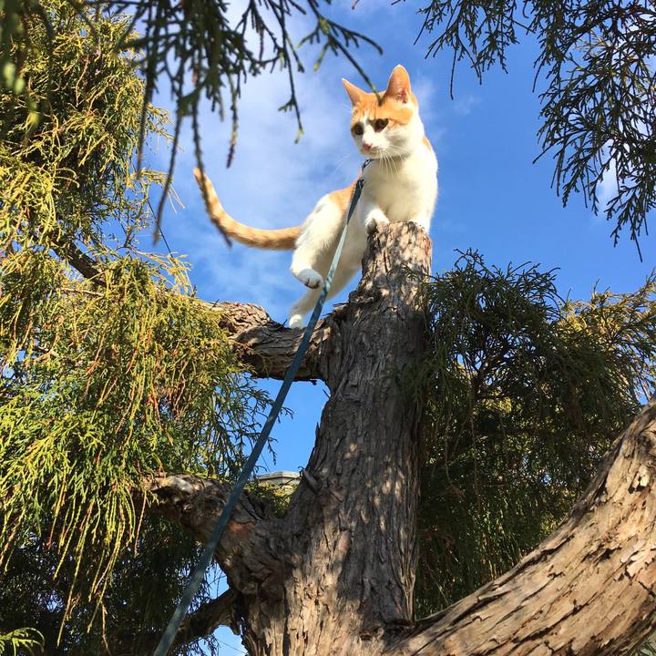 542f6c90 3c1f 4e20 9141 52e27d83731f