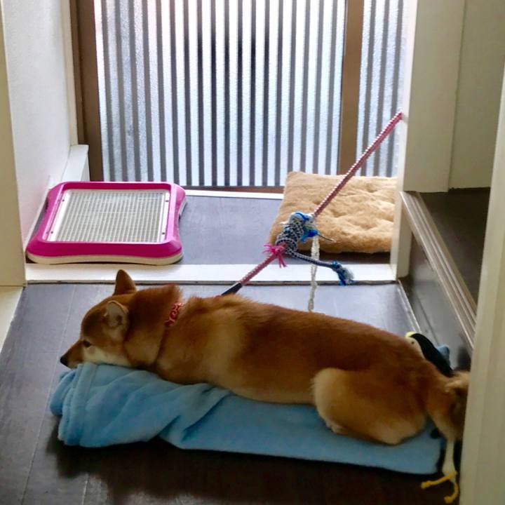 542fdaa1 a247 4742 94c2 3d92ebf43095