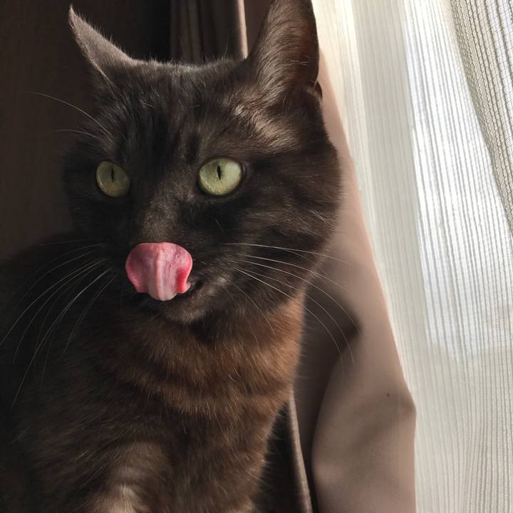 5430be08 52b3 4a79 9963 f9bf56cccd6a