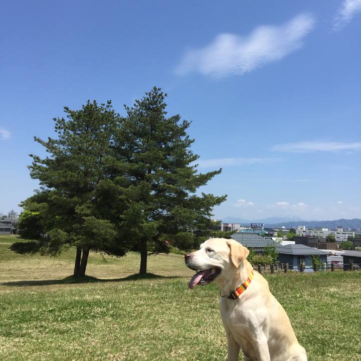 54310ec3 4ca4 4b2e 9bc8 3bea3f6dcbdb