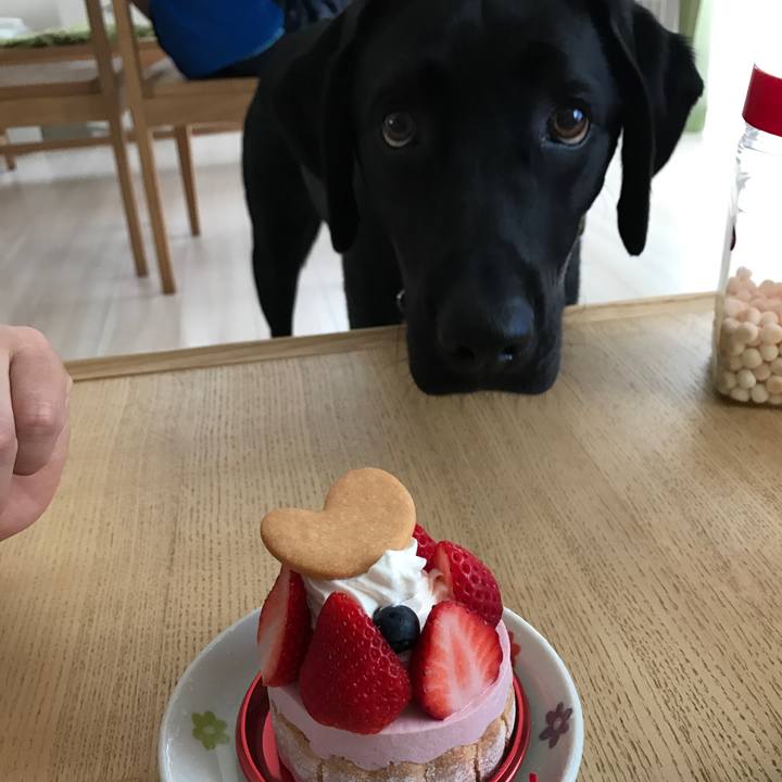 54317668 ef13 4f4d a05a 3ebae766a9dd