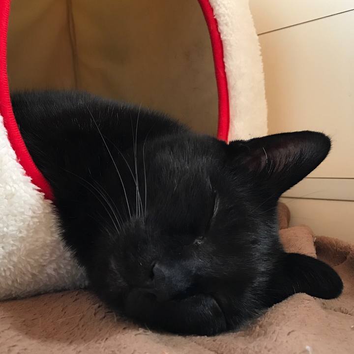 54318fb9 d559 4ef5 90b4 aa62ab784767