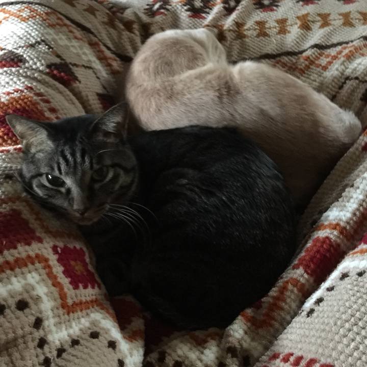 5431d2e7 0ee3 4a4b b731 45ab8da6cd65