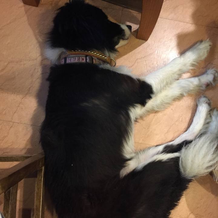 5431d7a5 f096 4f2e a50d f4febdb47275