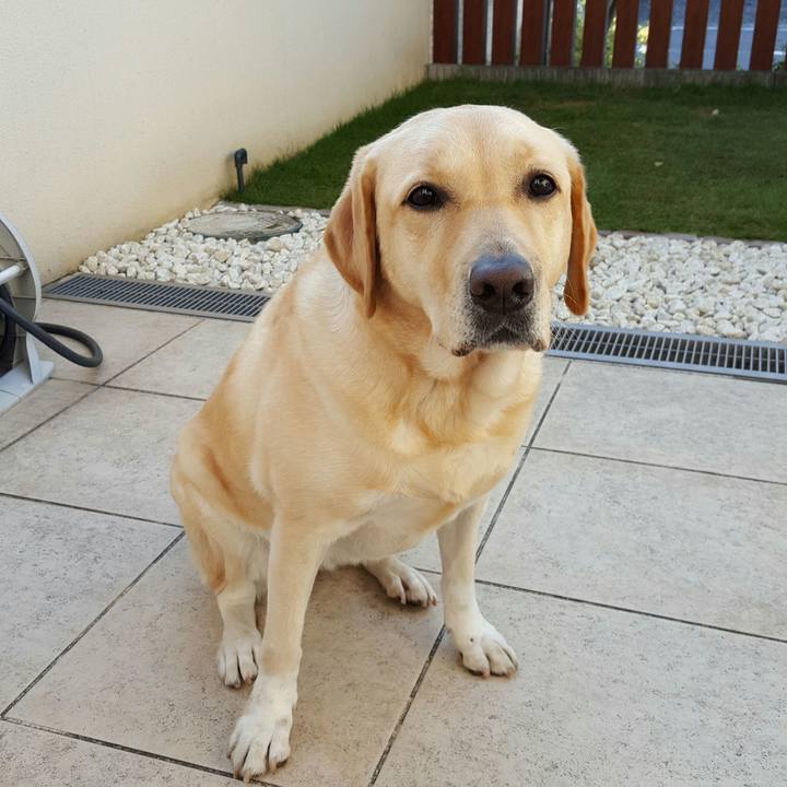 5431e891 bd67 4e58 8ae4 09bb769f440f