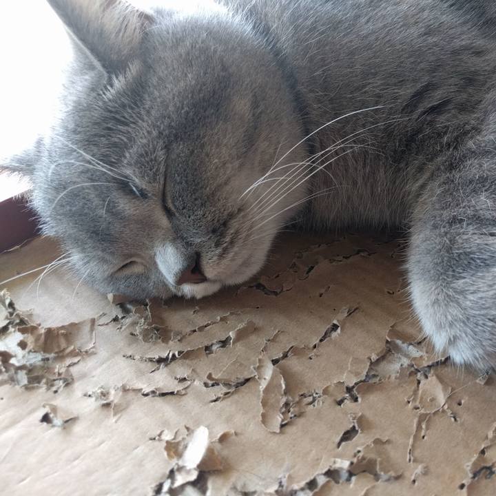 5431fb2c a2fc 47df 836c 9044de5ad7e1