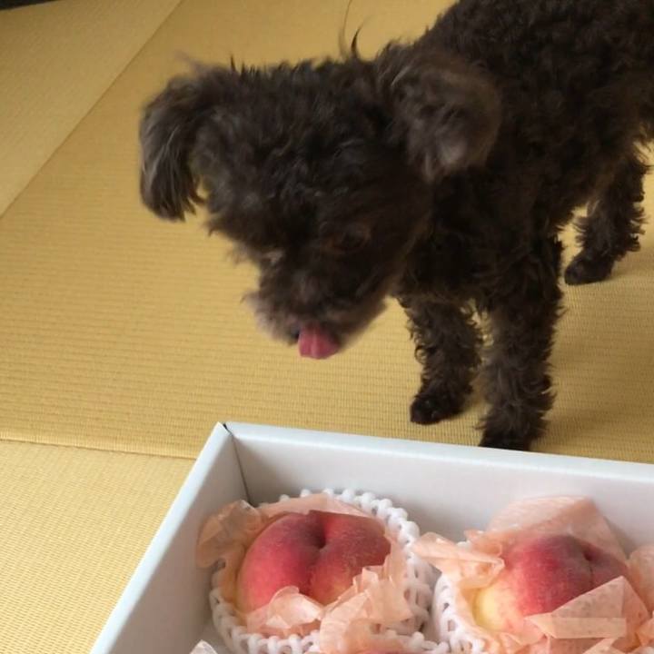 54321f4e b19d 49cb b899 a6341fddb636