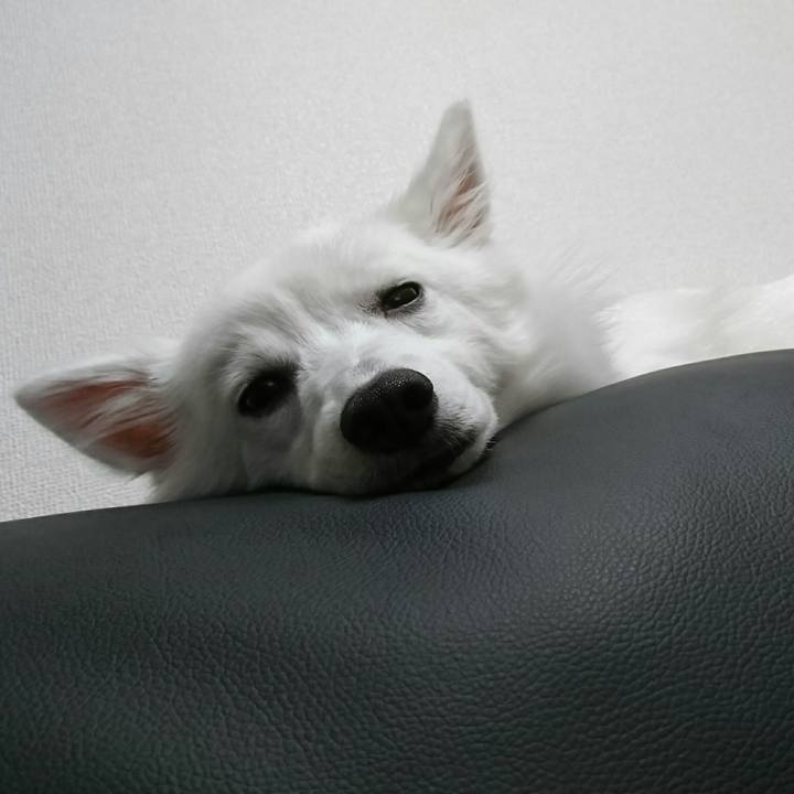 54326cf9 5faf 4265 8205 7e9fee0f3a15