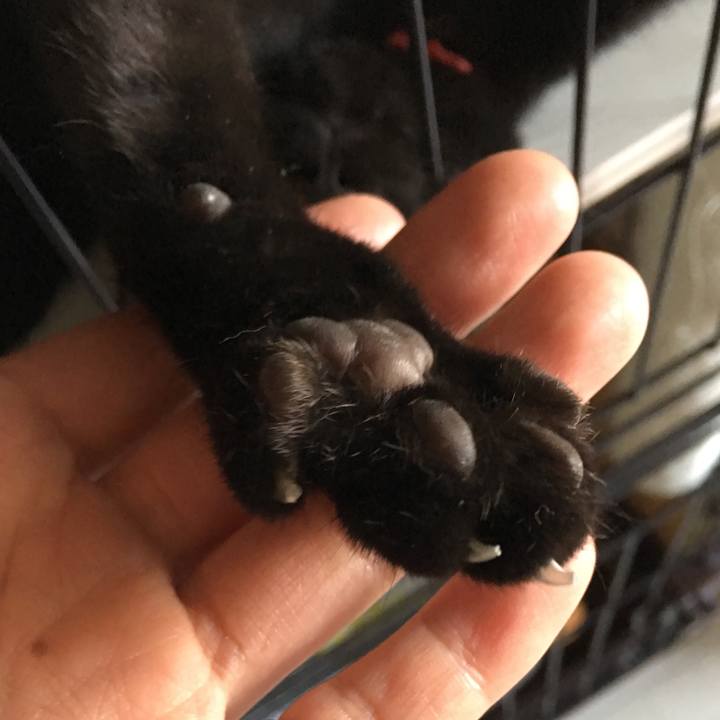 543275a3 946c 41fd bd46 04e99884485a