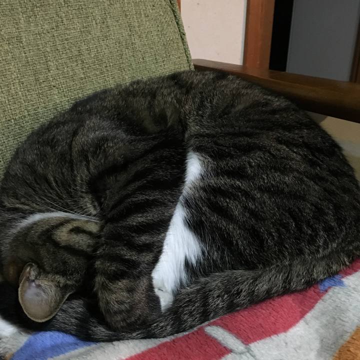 5433d036 a0ab 4a36 b81a b36e768af966