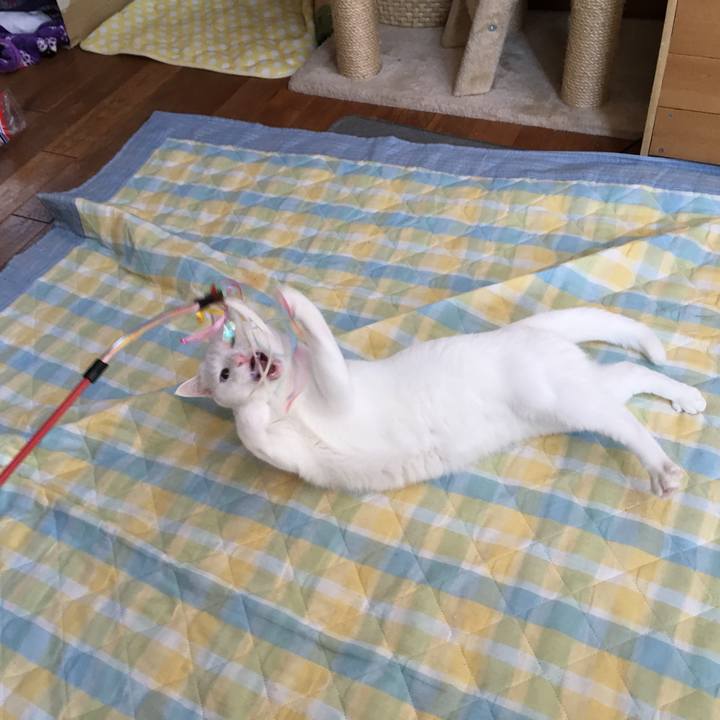 54340584 651b 4507 9465 94454d9e4de2