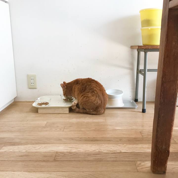 54342b98 64c8 44b1 8ce8 44abcda2dc02