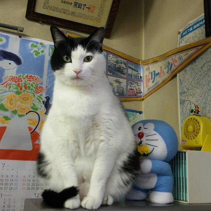 5434400d 7b63 4cc8 941c b455bb628427