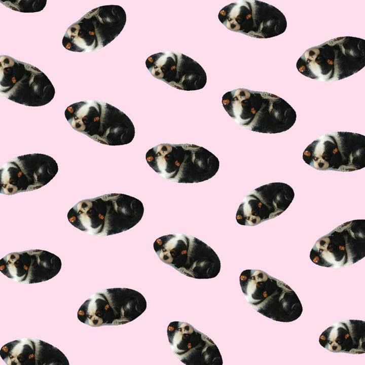 5434af71 cd66 4f83 908a dd1ea8a79e28