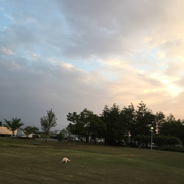 5434bca1 88d7 4be9 9cac 5d8c5751c126