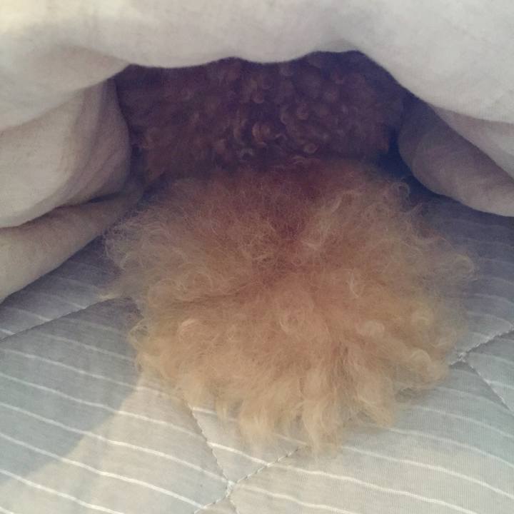 5434c0ab 6116 457c 9298 96e1538e6971