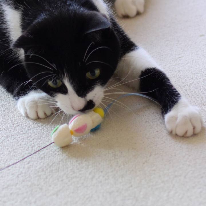 5435080b 9f86 4b81 9496 eebf86cc90b9