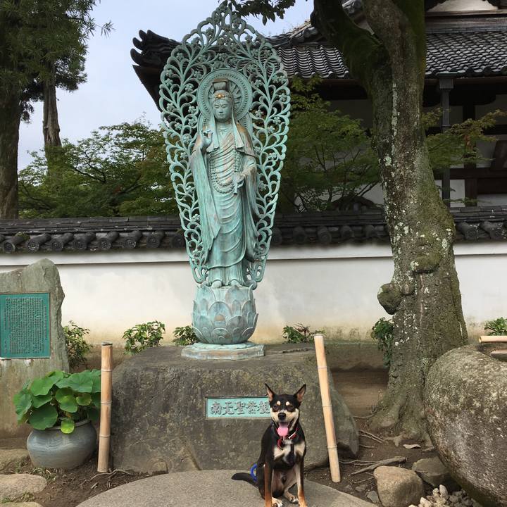 543544c8 5110 4e54 8c56 0c3a59ce03a8